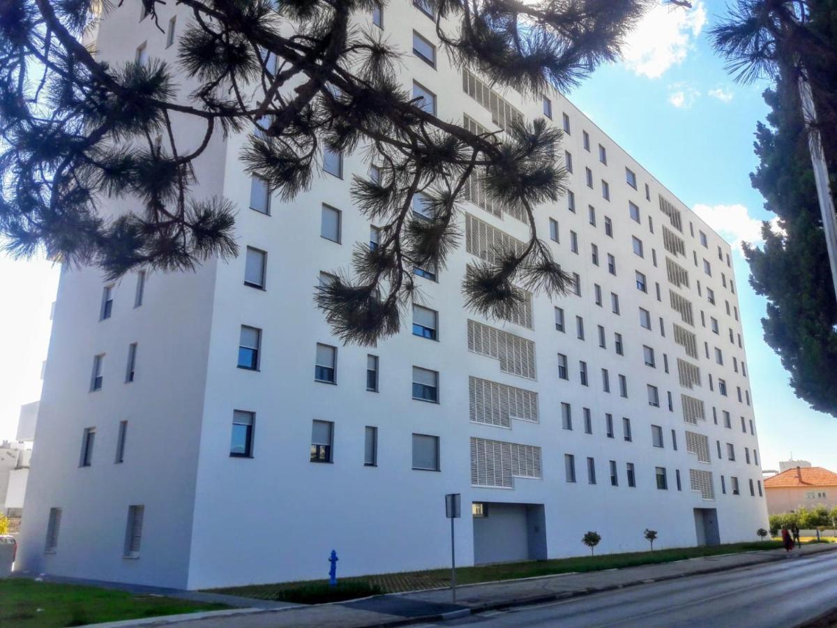 Studio Apartman Moonlight زادار المظهر الخارجي الصورة