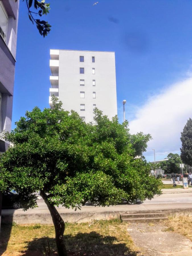 Studio Apartman Moonlight زادار المظهر الخارجي الصورة